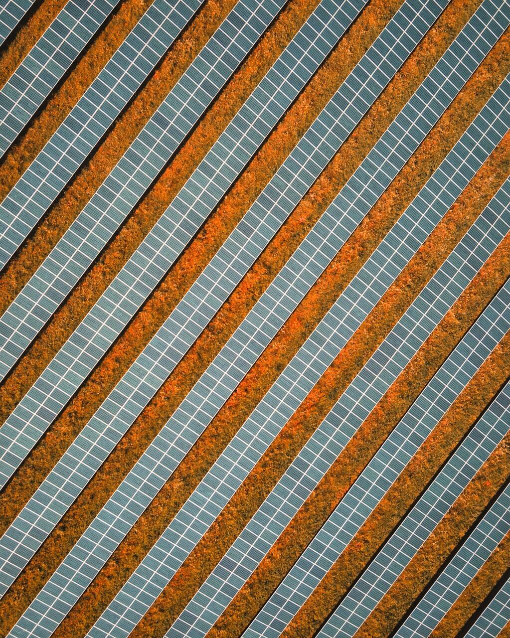 Top down view of farm solar panels in the field of a solar farm.